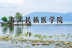 2024年右江民族医学院全国录取分数线，附最低分和最低位次