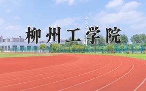 2024年柳州工学院全国录取分数线，附最低分和最低位次