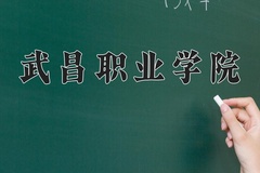 2024年武昌职业学院全国录取分数线，附最低分和最低位次