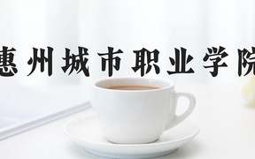 2024年惠州城市职业学院全国录取分数线，附最低分和最低位次
