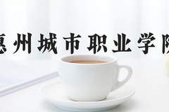 2024年惠州城市职业学院全国录取分数线，附最低分和最低位次
