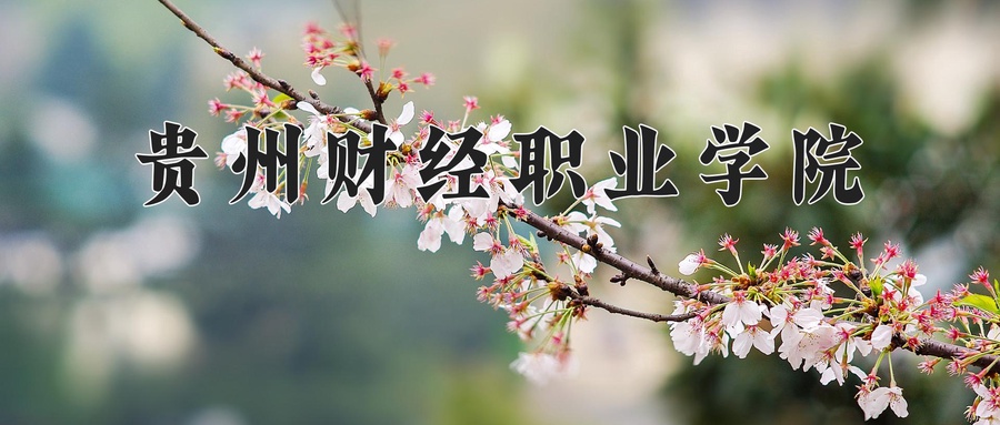 贵州财经职业学院