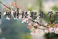 2024年贵州财经职业学院全国录取分数线，附最低分和最低位次
