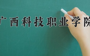 2024年广西科技职业学院全国录取分数线，附最低分和最低位次