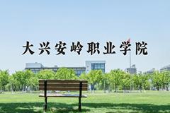 2024年大兴安岭职业学院全国录取分数线，附最低分和最低位次