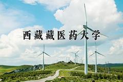 2024年西藏藏医药大学全国录取分数线，附最低分和最低位次