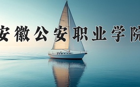 2024年安徽公安职业学院全国录取分数线，附最低分和最低位次