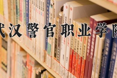 2024年武汉警官职业学院全国录取分数线，附最低分和最低位次