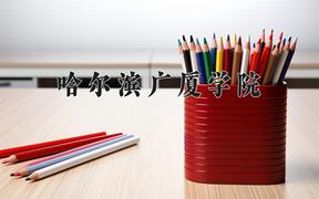 2024年哈尔滨广厦学院全国录取分数线，附最低分和最低位次