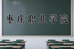 2024年枣庄职业学院全国录取分数线，附最低分和最低位次