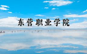 2024年东营职业学院全国录取分数线，附最低分和最低位次