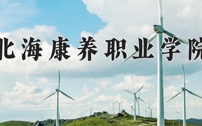 2024年北海康养职业学院全国录取分数线，附最低分和最低位次