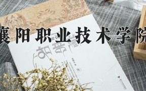 2024年襄阳职业技术学院全国录取分数线，附最低分和最低位次