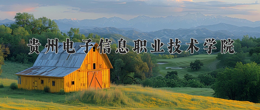 贵州电子信息职业技术学院