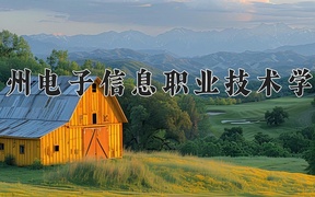 2024年贵州电子信息职业技术学院全国录取分数线，附最低分和最低位次