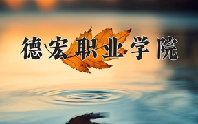 2024年德宏职业学院全国录取分数线，附最低分和最低位次
