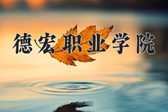2024年德宏职业学院全国录取分数线，附最低分和最低位次