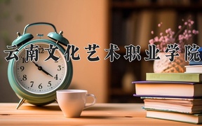 2024年云南文化艺术职业学院全国录取分数线，附最低分和最低位次