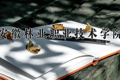 2024年安徽林业职业技术学院全国录取分数线，附最低分和最低位次