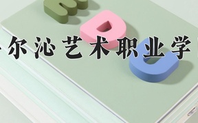 2024年科尔沁艺术职业学院全国录取分数线，附最低分和最低位次