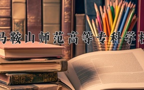 2024年马鞍山师范高等专科学校全国录取分数线，附最低分和最低位次