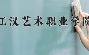 2024年江汉艺术职业学院全国录取分数线，附最低分和最低位次