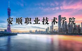 2024年安顺职业技术学院全国录取分数线，附最低分和最低位次