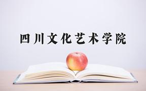 2024年四川文化艺术学院全国录取分数线，附最低分和最低位次