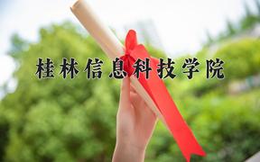 2024年桂林信息科技学院全国录取分数线，附最低分和最低位次