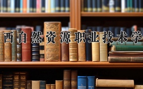 2024年广西自然资源职业技术学院全国录取分数线，附最低分和最低位次