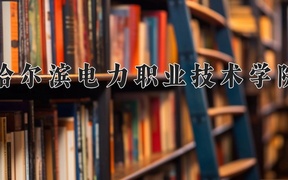 2024年哈尔滨电力职业技术学院全国录取分数线，附最低分和最低位次