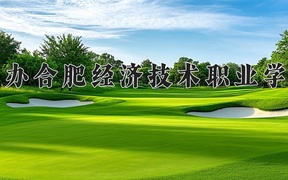 2024年民办合肥经济技术职业学院全国录取分数线，附最低分和最低位次