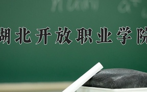 2024年湖北开放职业学院全国录取分数线，附最低分和最低位次