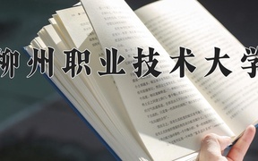 2024年柳州职业技术大学全国录取分数线，附最低分和最低位次