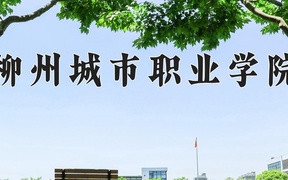 2024年柳州城市职业学院全国录取分数线，附最低分和最低位次