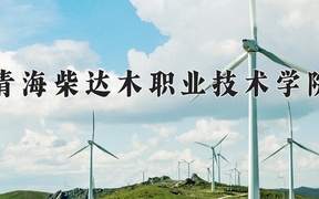2024年青海柴达木职业技术学院全国录取分数线，附最低分和最低位次