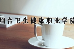 2024年烟台卫生健康职业学院全国录取分数线，附最低分和最低位次