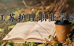 2024年江苏护理职业学院全国录取分数线，附最低分和最低位次