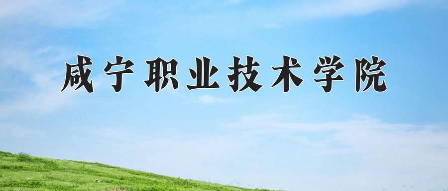 咸宁职业技术学院