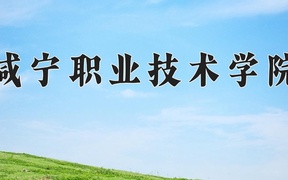 2024年咸宁职业技术学院全国录取分数线，附最低分和最低位次
