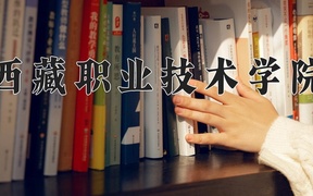 2024年西藏职业技术学院全国录取分数线，附最低分和最低位次