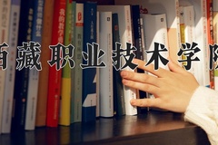 2024年西藏职业技术学院全国录取分数线，附最低分和最低位次