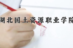 2024年湖北国土资源职业学院全国录取分数线，附最低分和最低位次
