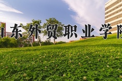 2024年山东外贸职业学院全国录取分数线，附最低分和最低位次