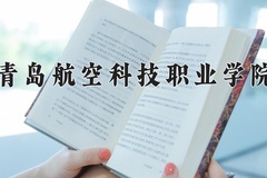 2024年青岛航空科技职业学院全国录取分数线，附最低分和最低位次
