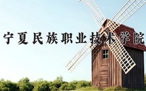 2024年宁夏民族职业技术学院全国录取分数线，附最低分和最低位次