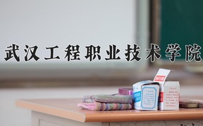 2024年武汉工程职业技术学院全国录取分数线，附最低分和最低位次