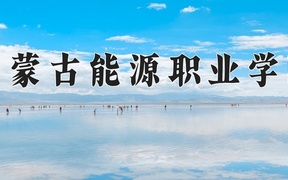 2024年内蒙古能源职业学院全国录取分数线，附最低分和最低位次