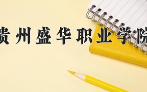 2024年贵州盛华职业学院全国录取分数线，附最低分和最低位次