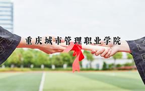 2024年重庆城市管理职业学院全国录取分数线，附最低分和最低位次